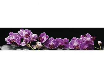 Кухонный фартук глянцевый SP-089 - фото